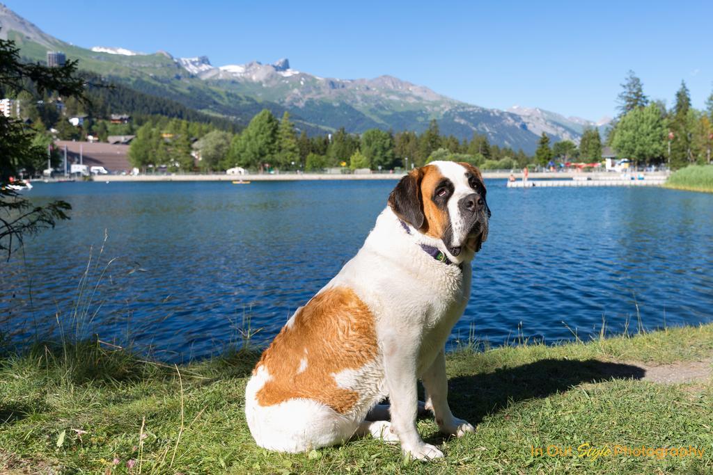 Hotel La Prairie Crans-Montana Bagian luar foto